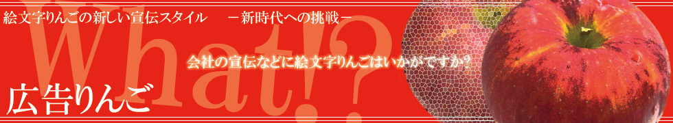 G񂲂pV`X^CuL񂲁v