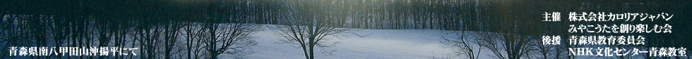 「雪のみやこうた」全国コンクール2010