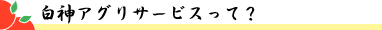 白神アグリサービス