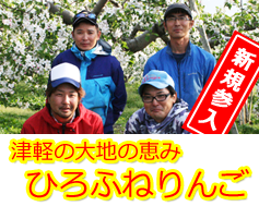 AppleGiftersの津軽の大地の恵みひろふねりんご