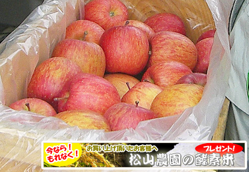 りんご品種「家庭用ふじ」