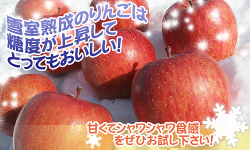 りんご品種「家庭用ふじ」