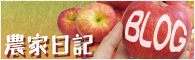 ヤマサンりんご園ブログ