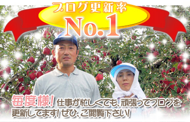 ブログ更新率NO1・ヤマサンりんご園の画像