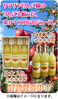 ヤマサンりんご園のりんごジュース