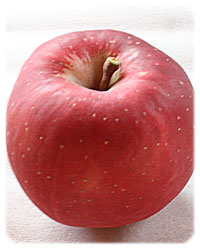 リンゴ品種・となみ