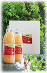鯉艸郷のりんごジュース「りんごの郷」