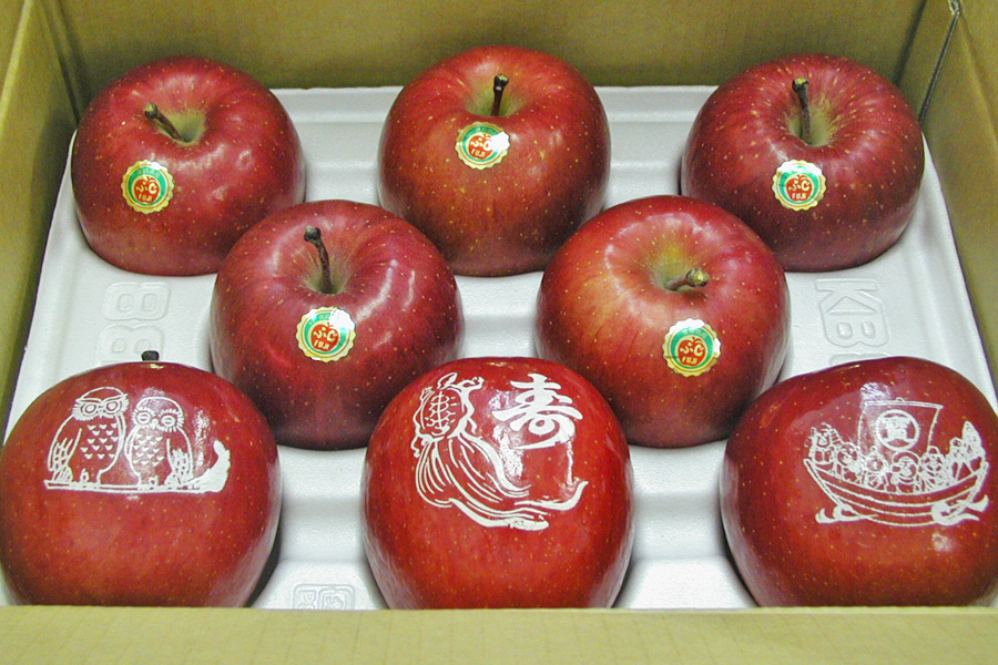 製作例一覧・絵文字りんごの製作例をご紹介