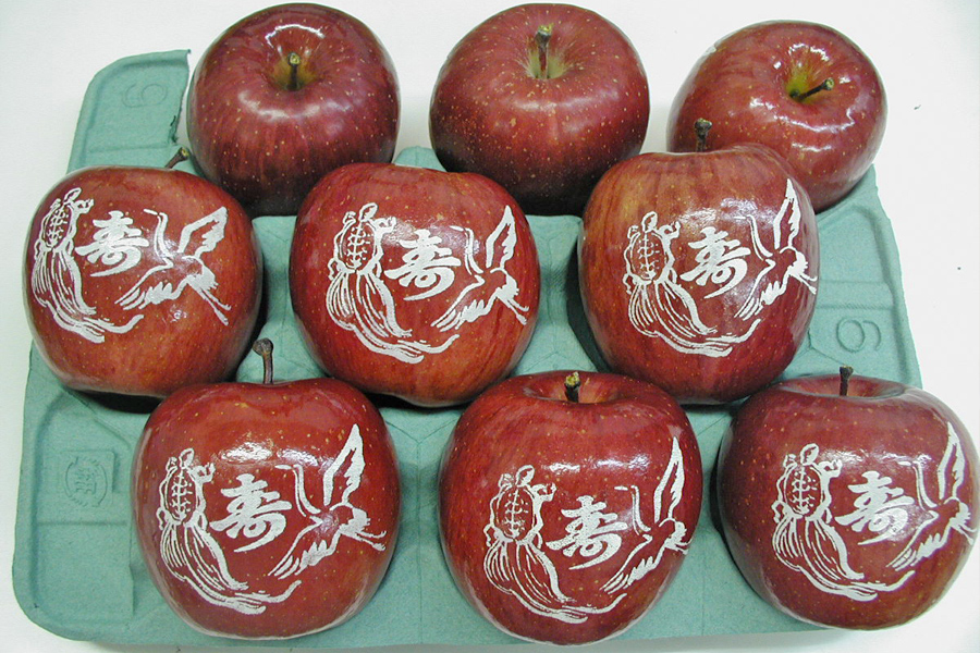 製作例一覧・絵文字りんごの製作例をご紹介